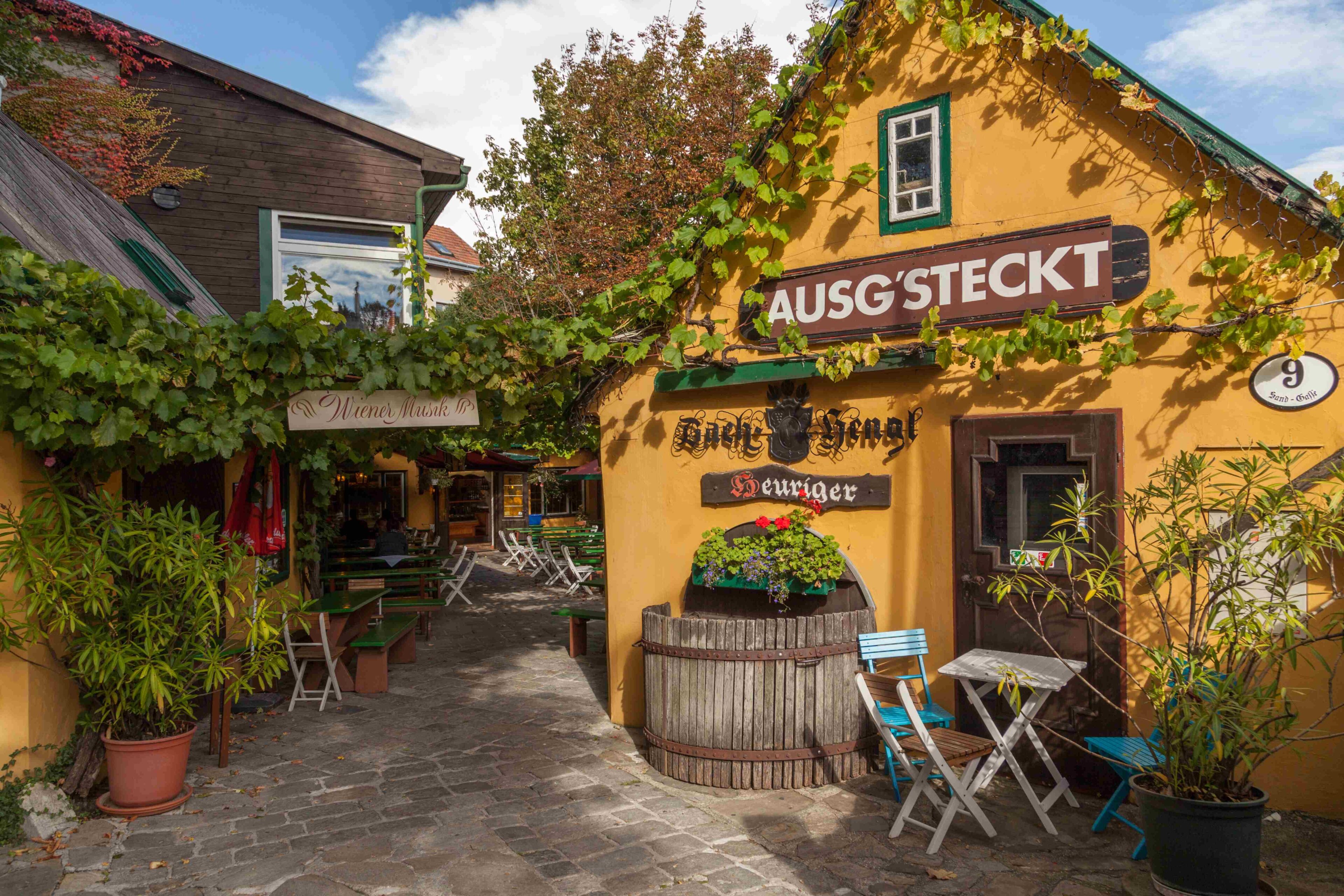 Ein malerisches Straßencafé mit gelben Gebäuden, grünen Weinreben, Topfpflanzen und bunten Stühlen und Tischen auf einer gepflasterten Terrasse unter sonnigem Himmel. Über den Eingängen hängen Schilder auf Deutsch.