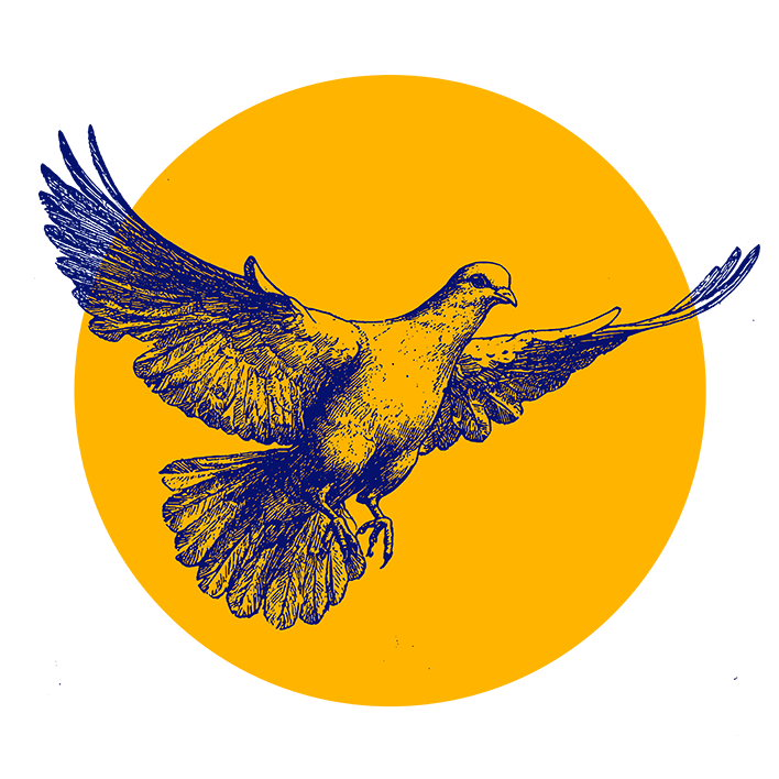Illustrazione di un uccello in volo con le ali spiegate, disegnato in blu su uno sfondo giallo brillante. L'immagine contiene diverse forme astratte scure agli angoli. 
