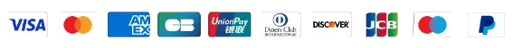Icons der Zahlungsmethoden: Visa, Mastercard, American Express, Carte Bancaire, UnionPay, Diners Club, Discover, JCB, Maestro und PayPal-Logos in einer Reihe auf weißem Hintergrund.