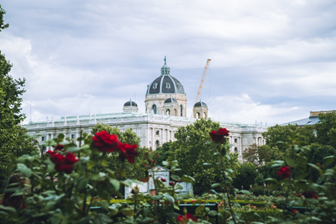 Hinter Bäumen und roten Blumen in einem Garten erhebt sich ein historisches weißes Gebäude mit einem Kuppeldach, und unter dem bedeckten Himmel ist ein gelber Baukran zu sehen.
