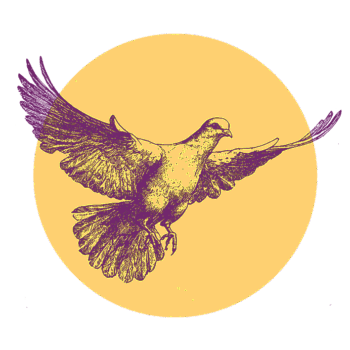 Illustration einer Taube mit ausgebreiteten Flügeln im Flug, gezeichnet in Dunkelviolett, vor einem einfarbig gelben, kreisförmigen Hintergrund.