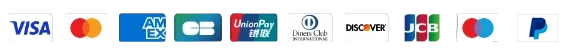 Logos der wichtigsten Zahlungsmethoden, darunter Visa, Mastercard, American Express, Carte Bancaire, UnionPay, Diners Club, Discover, JCB, Maestro und PayPal, werden in einer Reihe auf schwarzem Hintergrund angezeigt.